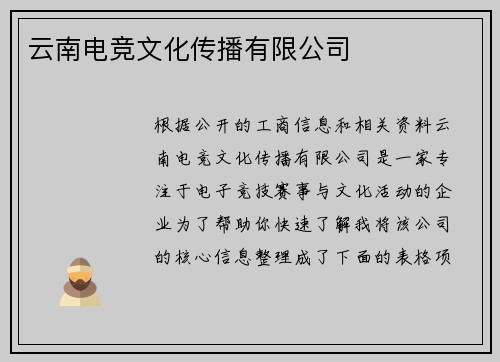 云南电竞文化传播有限公司